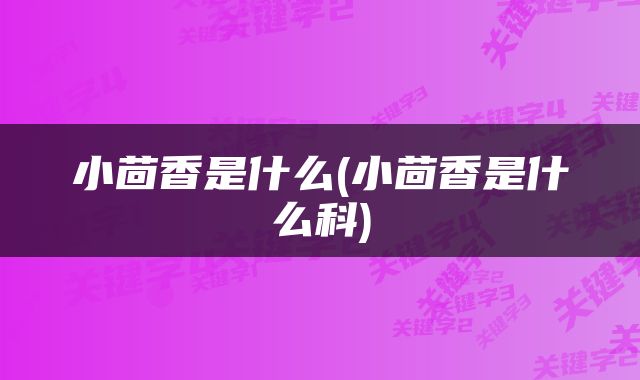 小茴香是什么(小茴香是什么科)