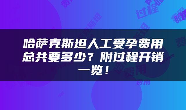 哈萨克斯坦人工受孕费用总共要多少？附过程开销一览！