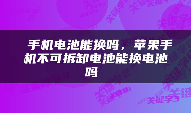  手机电池能换吗，苹果手机不可拆卸电池能换电池吗 