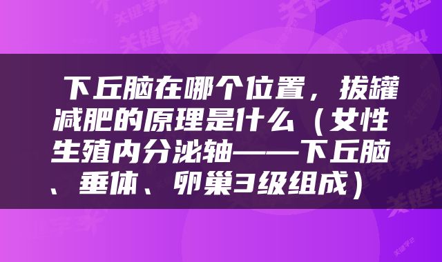  下丘脑在哪个位置，拔罐减肥的原理是什么（女性生殖内分泌轴——下丘脑、垂体、卵巢3级组成） 