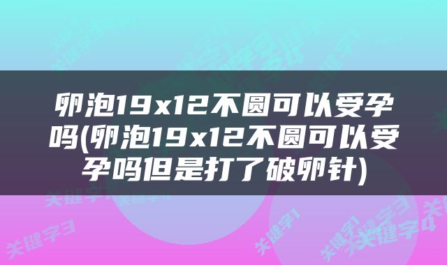 卵泡19x12不圆可以受孕吗(卵泡19x12不圆可以受孕吗但是打了破卵针)