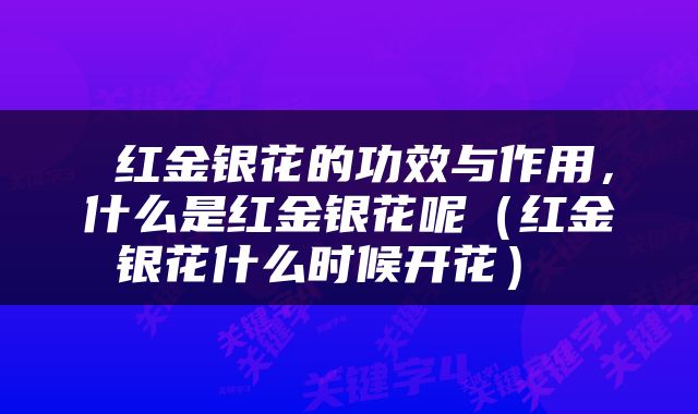  红金银花的功效与作用，什么是红金银花呢（红金银花什么时候开花） 
