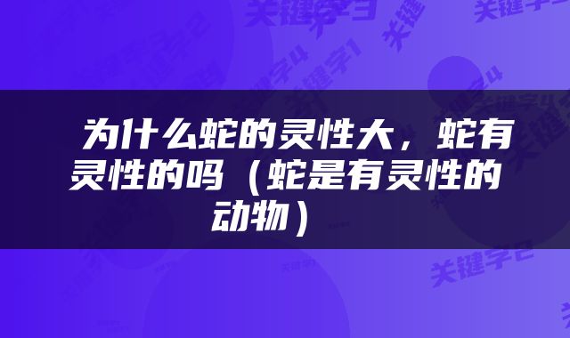  为什么蛇的灵性大，蛇有灵性的吗（蛇是有灵性的动物） 