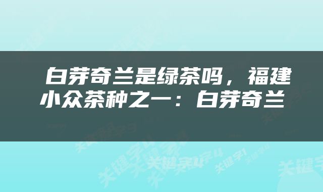  白芽奇兰是绿茶吗，福建小众茶种之一：白芽奇兰 