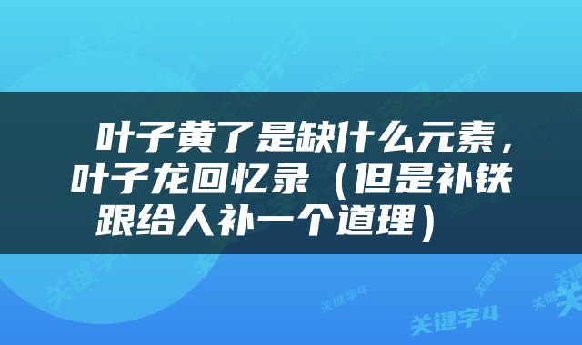  叶子黄了是缺什么元素，叶子龙回忆录（但是补铁跟给人补一个道理） 