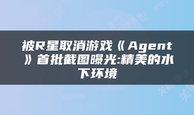被R星取消游戏《Agent》首批截图曝光:精美的水下环境
