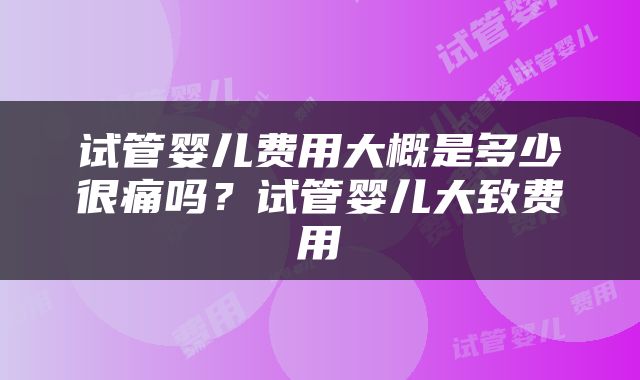 试管婴儿费用大概是多少很痛吗？试管婴儿大致费用