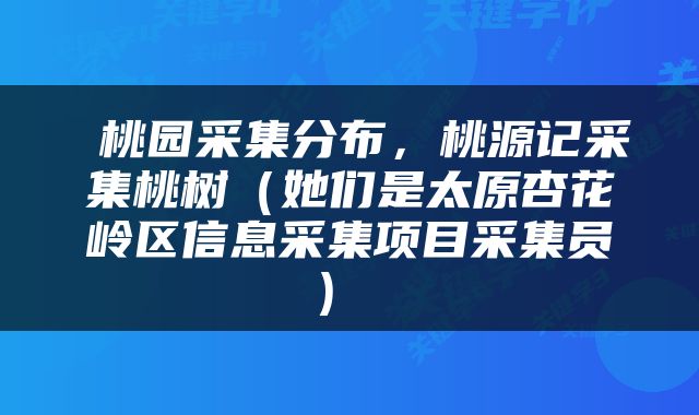  桃园采集分布，桃源记采集桃树（她们是太原杏花岭区信息采集项目采集员） 