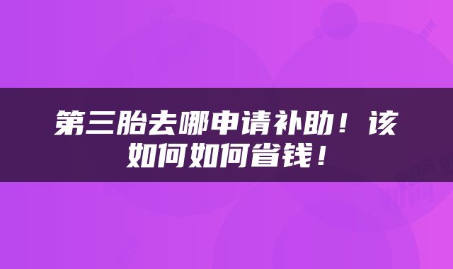 第三胎去哪申请补助！该如何如何省钱！