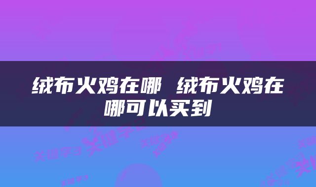 绒布火鸡在哪 绒布火鸡在哪可以买到