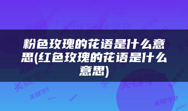 粉色玫瑰的花语是什么意思(红色玫瑰的花语是什么意思)