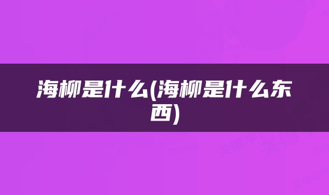 海柳是什么(海柳是什么东西)