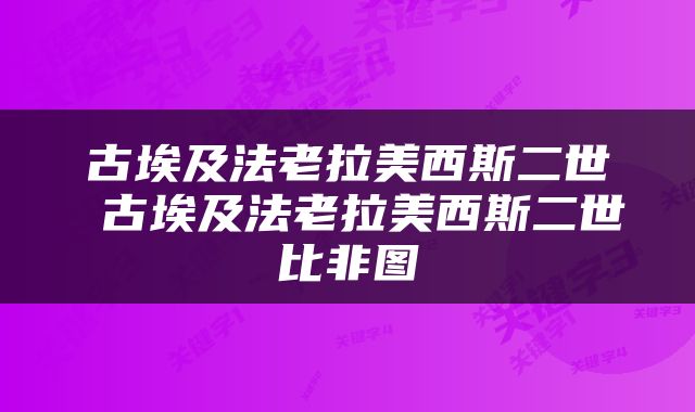 古埃及法老拉美西斯二世 古埃及法老拉美西斯二世比非图