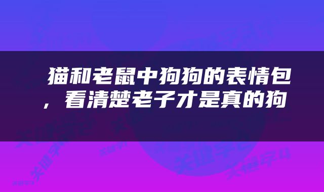 猫和老鼠中狗狗的表情包,看清楚老子才是真的狗