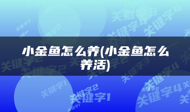 小金鱼怎么养(小金鱼怎么养活)