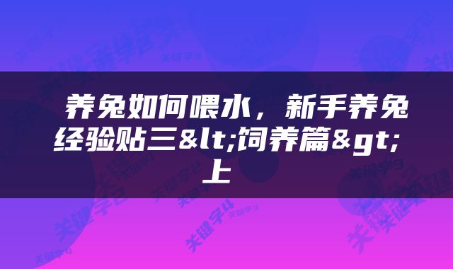  养兔如何喂水，新手养兔经验贴三<饲养篇>上 