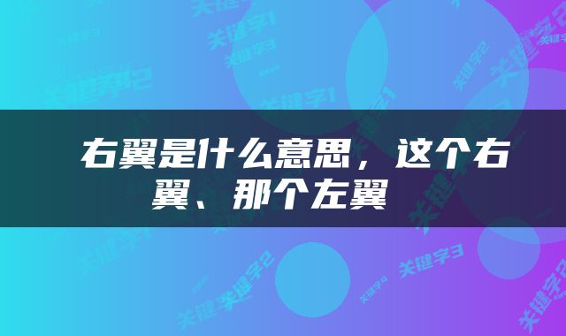 右翼是什么意思，这个右翼、那个左翼 