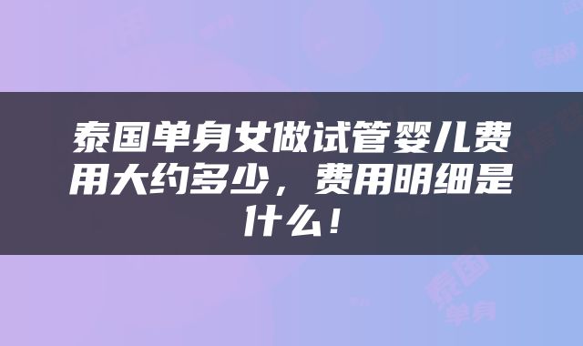 泰国单身女做试管婴儿费用大约多少，费用明细是什么！