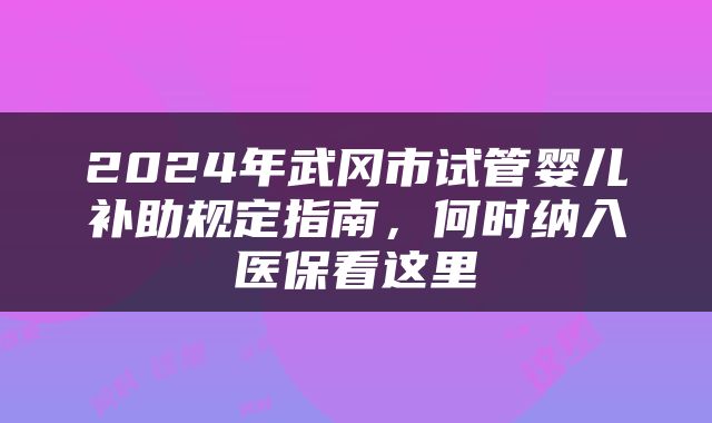 2024年武冈市试管婴儿补助规定指南,何时纳入医保看这里