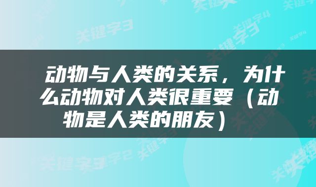  动物与人类的关系，为什么动物对人类很重要（动物是人类的朋友） 