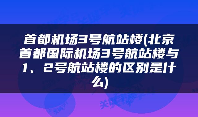 首都机场3号航站楼(北京首都国际机场3号航站楼与1、2号航站楼的区别是什么)