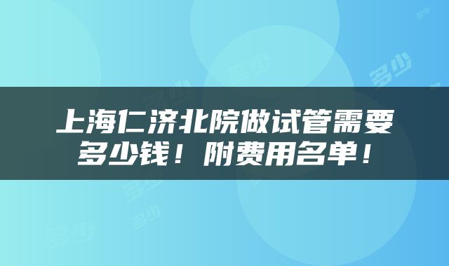 上海仁济北院做试管需要多少钱！附费用名单！