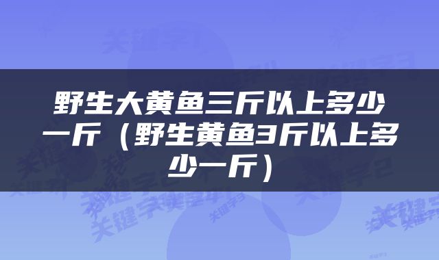 野生大黄鱼三斤以上多少一斤（野生黄鱼3斤以上多少一斤）