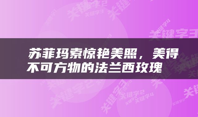  苏菲玛索惊艳美照，美得不可方物的法兰西玫瑰 