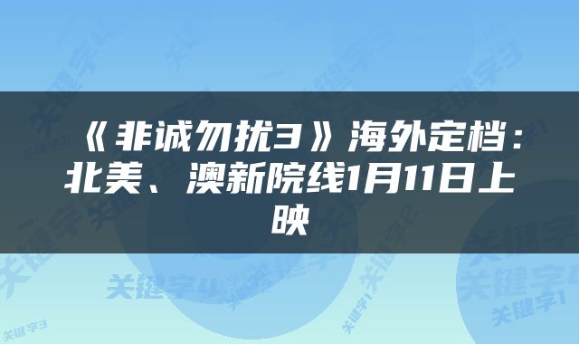 《非诚勿扰3》海外定档:北美、澳新院线1月11日上映