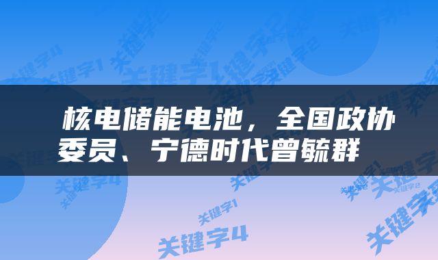  核电储能电池，全国政协委员、宁德时代曾毓群 