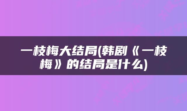 一枝梅大结局(韩剧《一枝梅》的结局是什么)