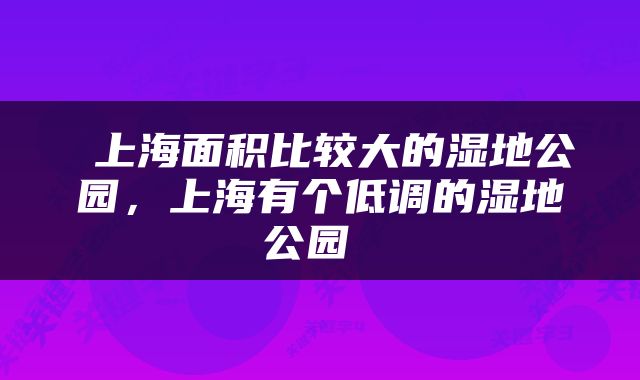 上海面积比较大的湿地公园，上海有个低调的湿地公园 