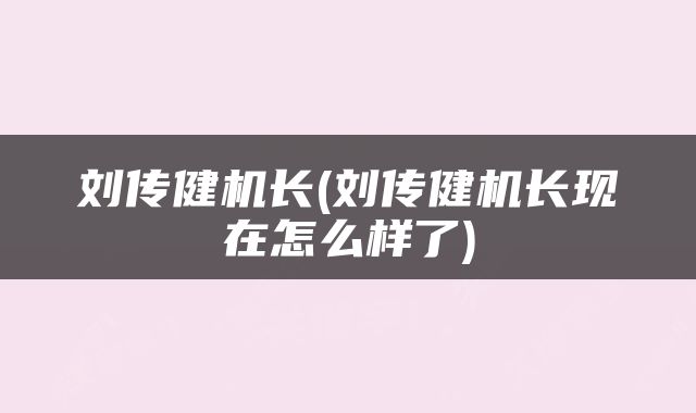 刘传健机长(刘传健机长现在怎么样了)