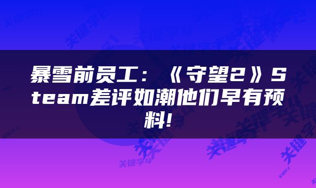 暴雪前员工：《守望2》Steam差评如潮他们早有预料!