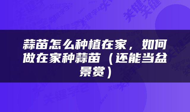 蒜苗怎么种植在家，如何做在家种蒜苗（还能当盆景赏）