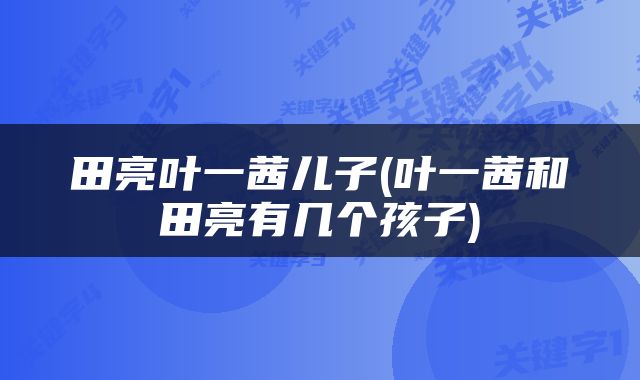 田亮叶一茜儿子(叶一茜和田亮有几个孩子)