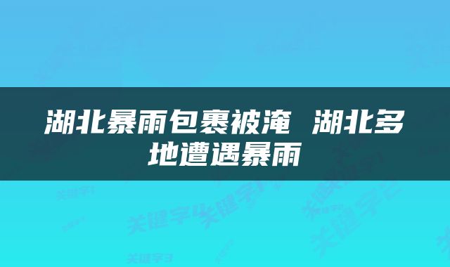 湖北暴雨包裹被淹 湖北多地遭遇暴雨