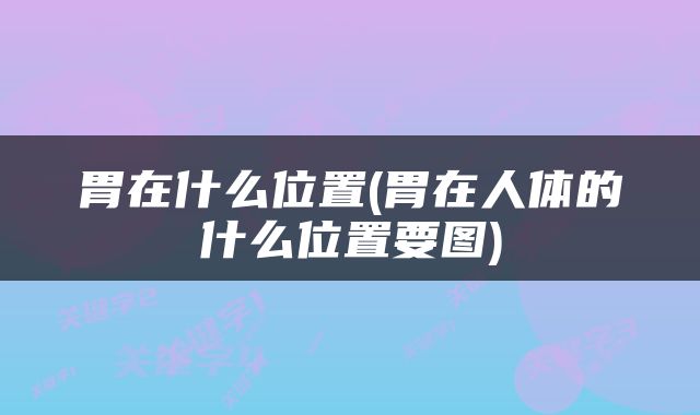 胃在什么位置(胃在人体的什么位置要图)
