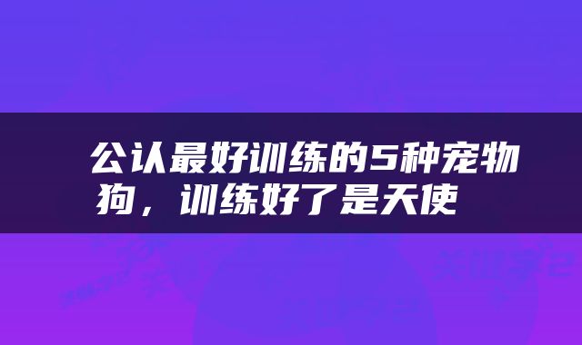  公认最好训练的5种宠物狗，训练好了是天使 