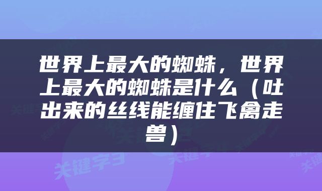世界上最大的蜘蛛，世界上最大的蜘蛛是什么（吐出来的丝线能缠住飞禽走兽）