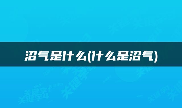 沼气是什么(什么是沼气)