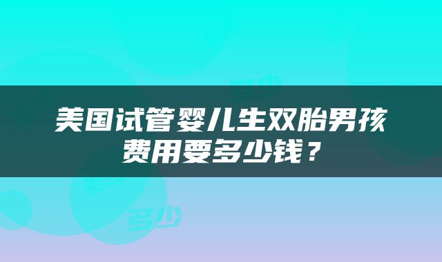 美国试管婴儿生双胎男孩费用要多少钱？