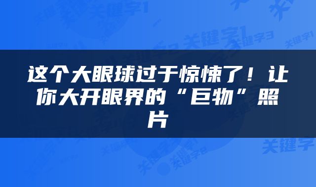 这个大眼球过于惊悚了！让你大开眼界的“巨物”照片