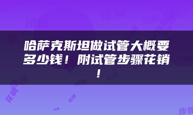 哈萨克斯坦做试管大概要多少钱！附试管步骤花销！