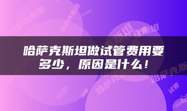 哈萨克斯坦做试管费用要多少，原因是什么！