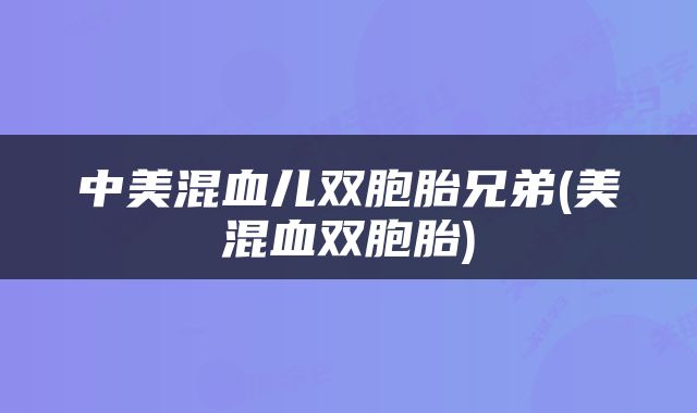 中美混血儿双胞胎兄弟(美混血双胞胎)