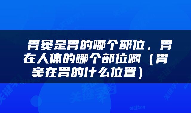  胃窦是胃的哪个部位，胃在人体的哪个部位啊（胃窦在胃的什么位置） 