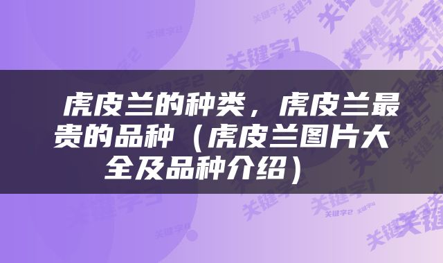  虎皮兰的种类，虎皮兰最贵的品种（虎皮兰图片大全及品种介绍） 