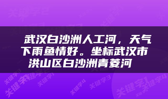  武汉白沙洲人工河，天气下雨鱼情好。坐标武汉市洪山区白沙洲青菱河 