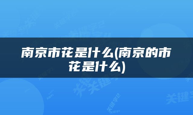 南京市花是什么(南京的市花是什么)